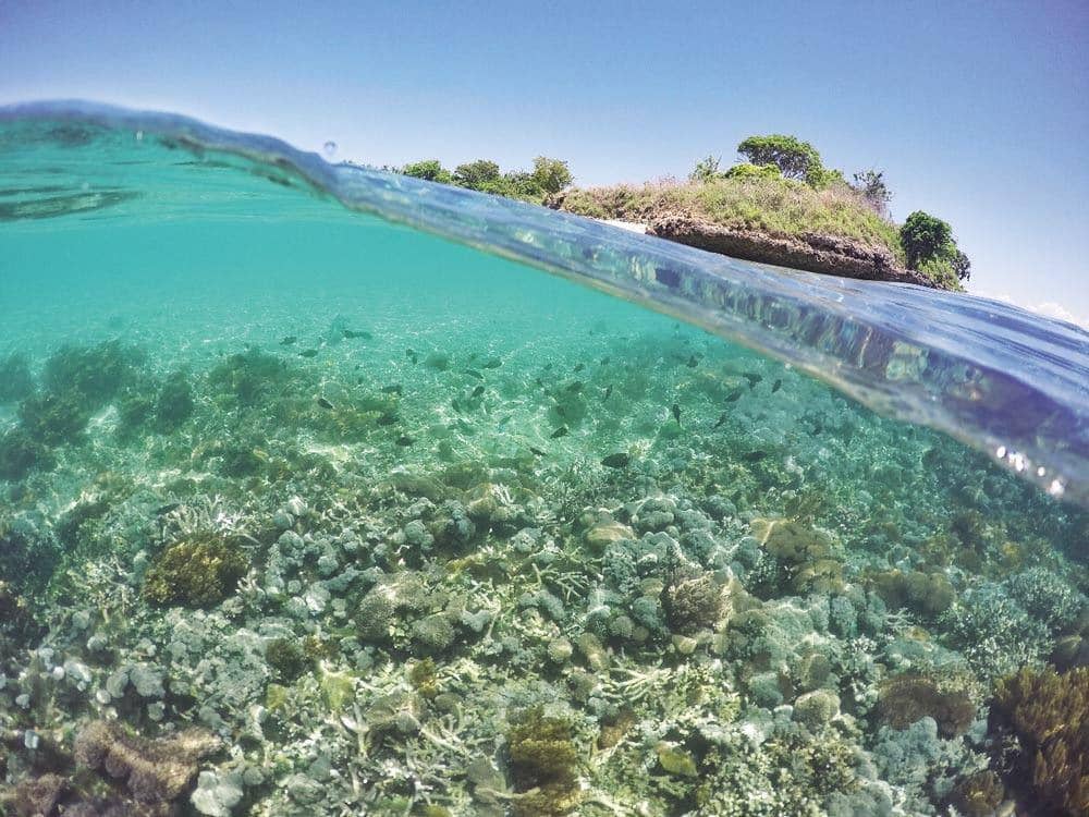 backpackerjakarta.com