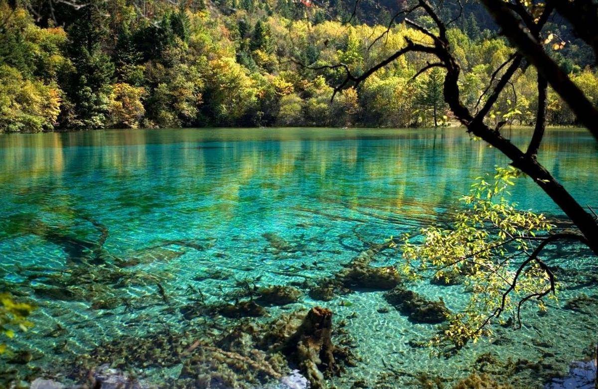 kembangwisata.com