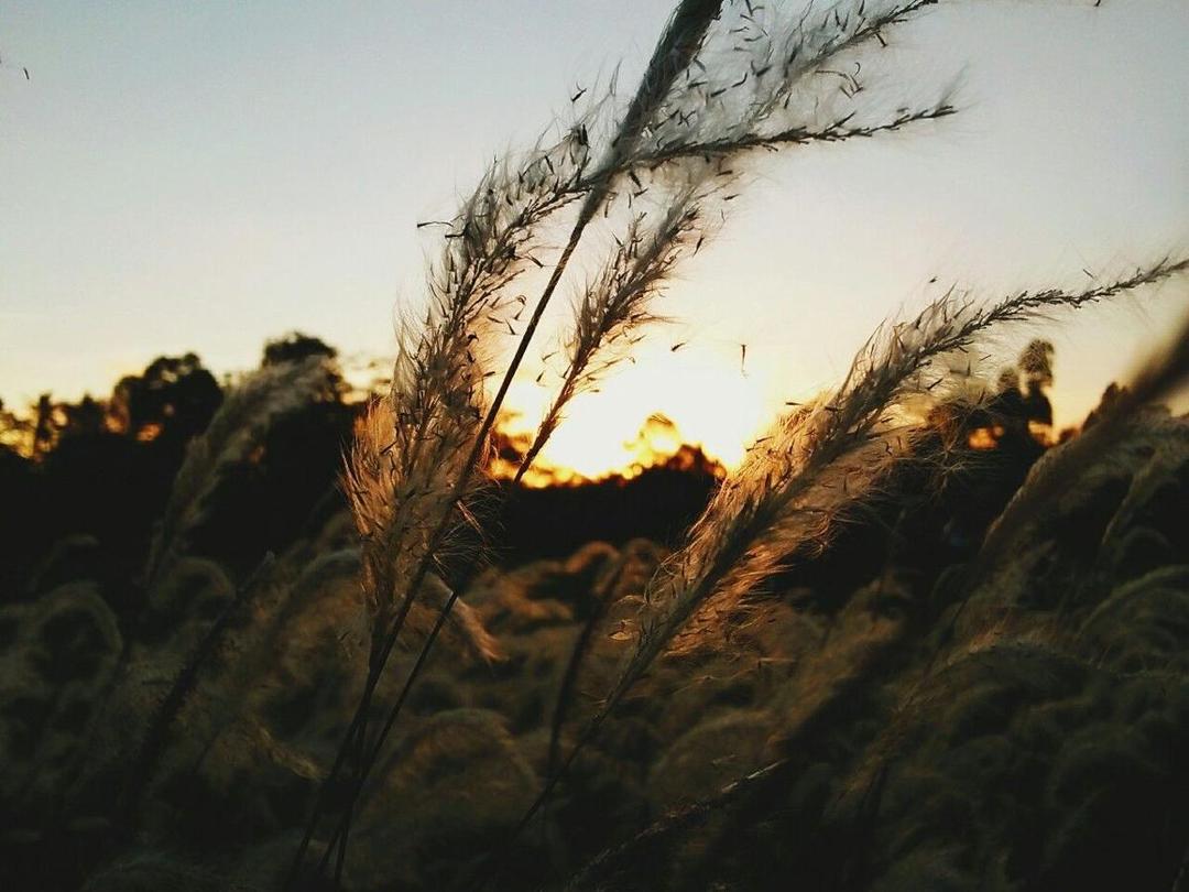 [PUISI] Senja Terakhir November