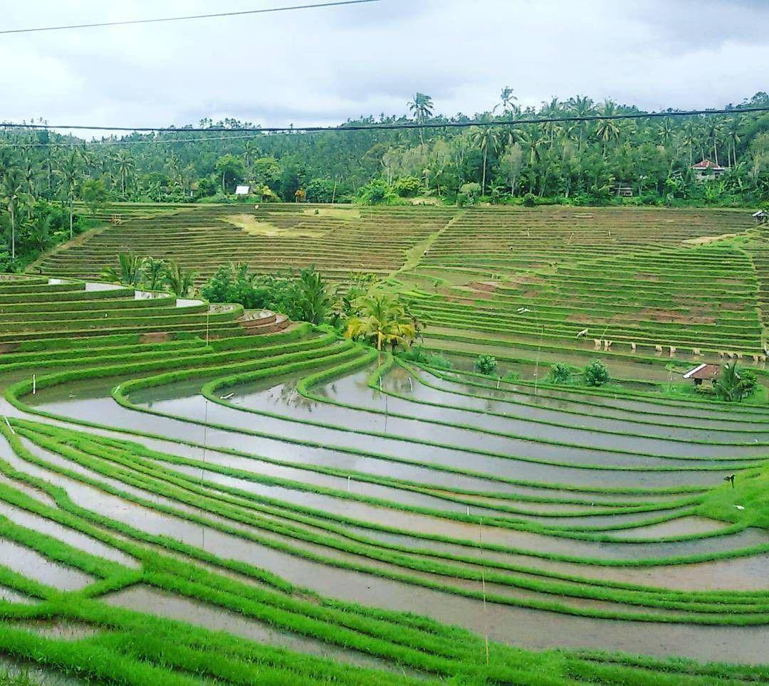 instagram/agungbalitours