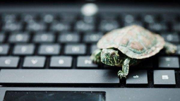 arenalaptop.com
