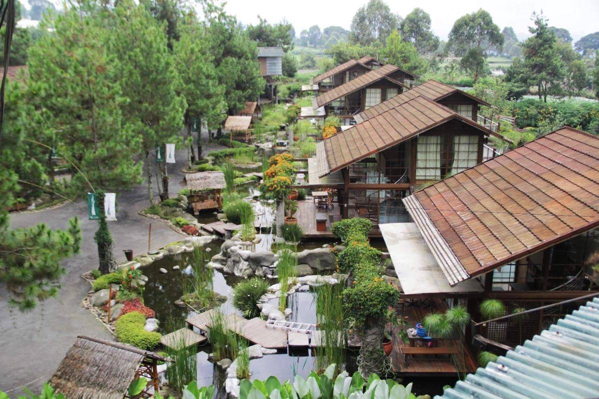 urbandung.com