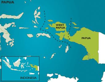 Apakah Penanganan Isu Separatisme di Papua Efektif?