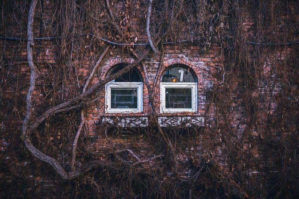 unsplash.com/Tj Holowaychuk