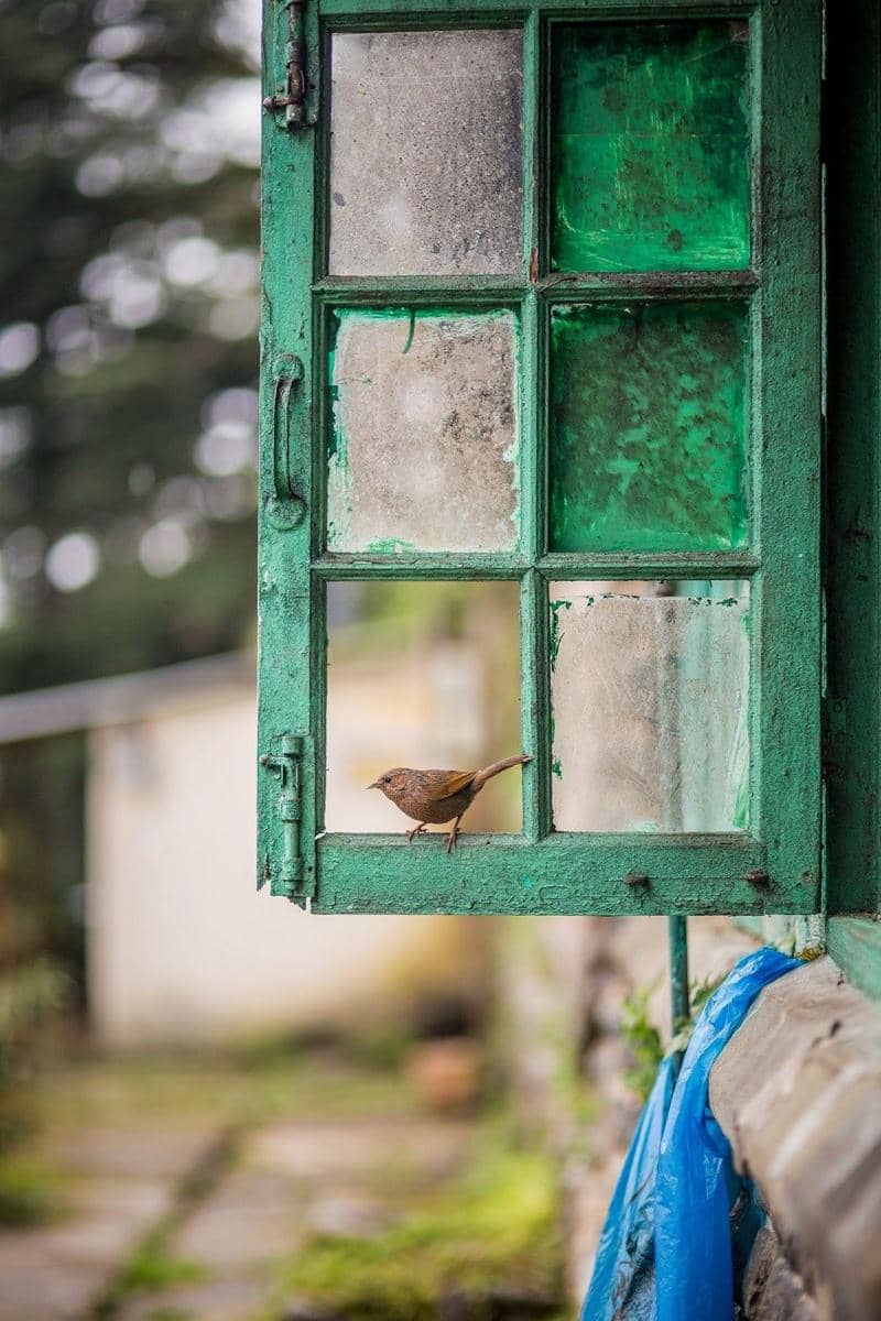unsplash.com/Aditya Saxena
