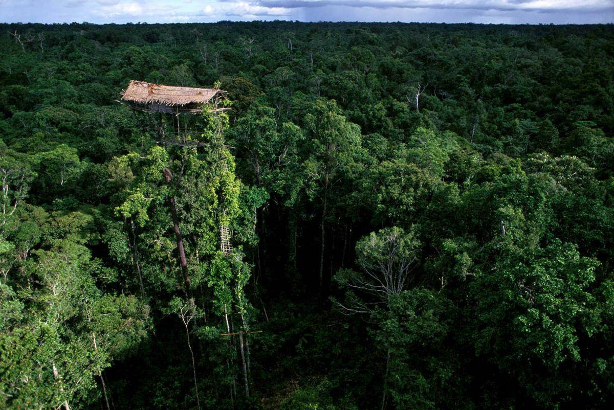 georgesteinmetz.com