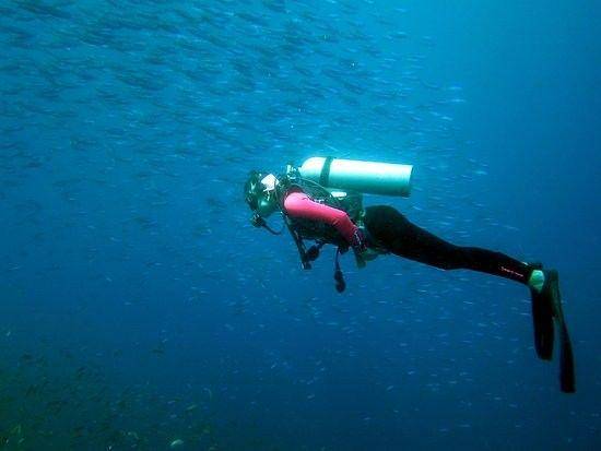 tripadvisor.com