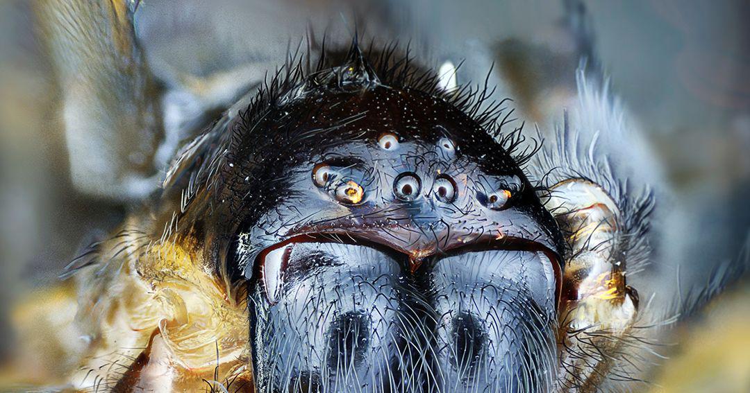 [QUIZ] Lihat Gambar Ini dan Kami akan Menebak Phobia Apa yang Kamu Idap!