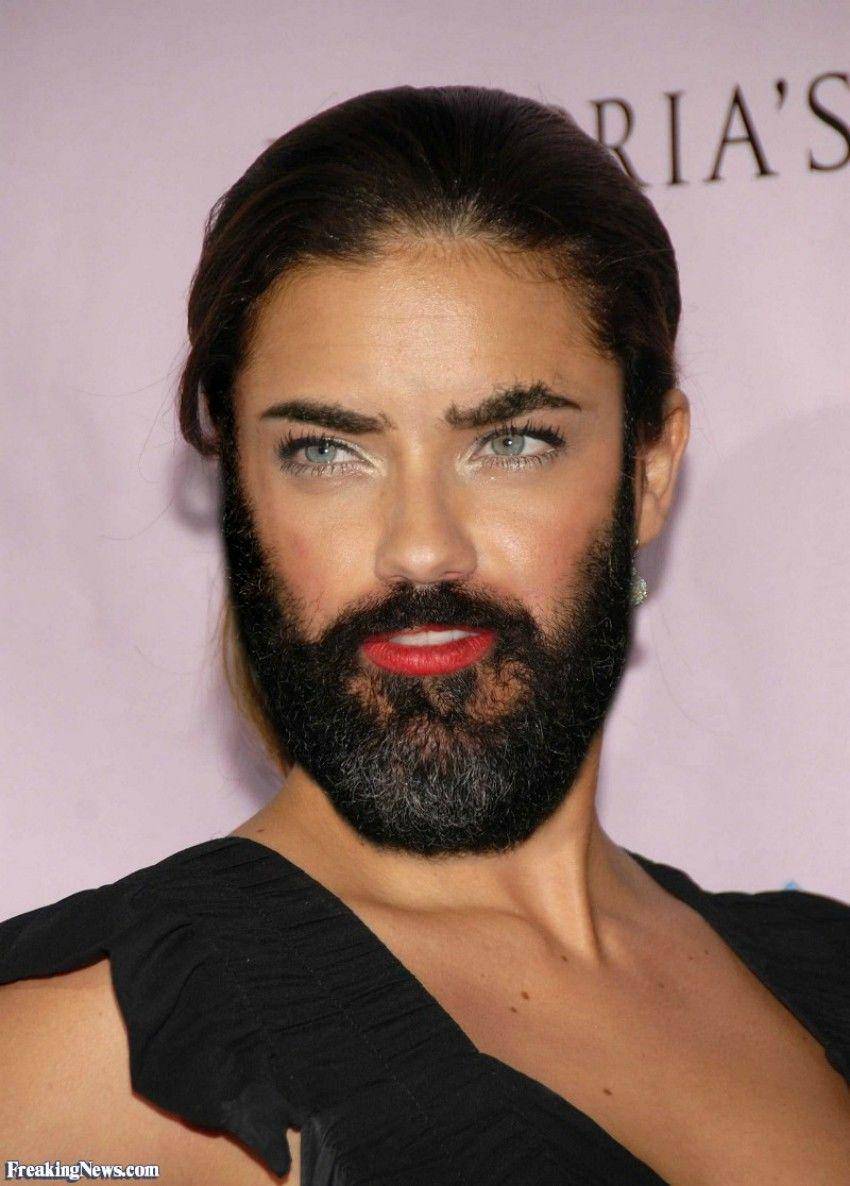 thebearder via freakingnews.com