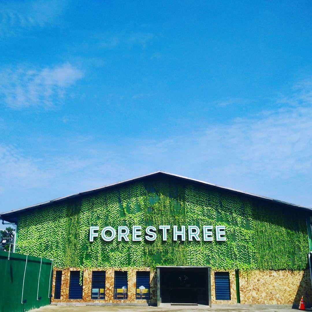 instagram.com/foresthree