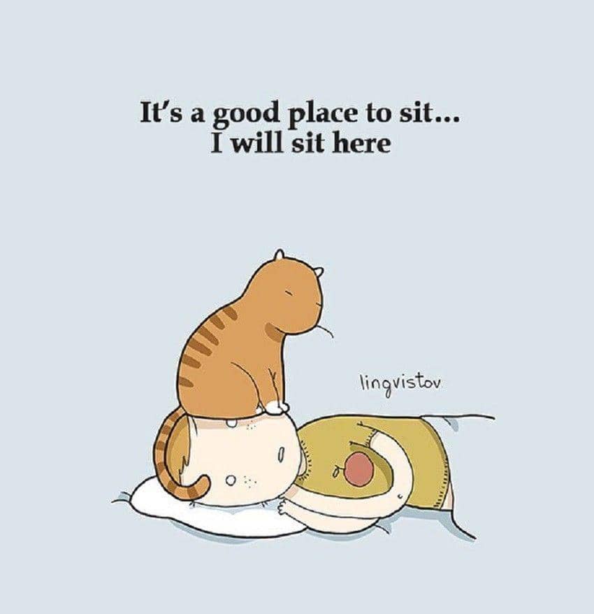 instagram.com/lingvistov