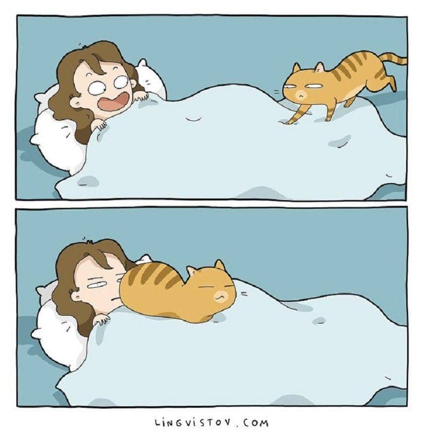 instagram.com/lingvistov