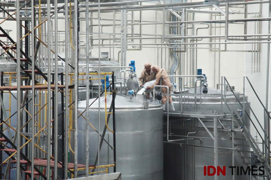 Jadi Penghasil Susu Segar Terbaik, Ini Target Greenfields Indonesia
