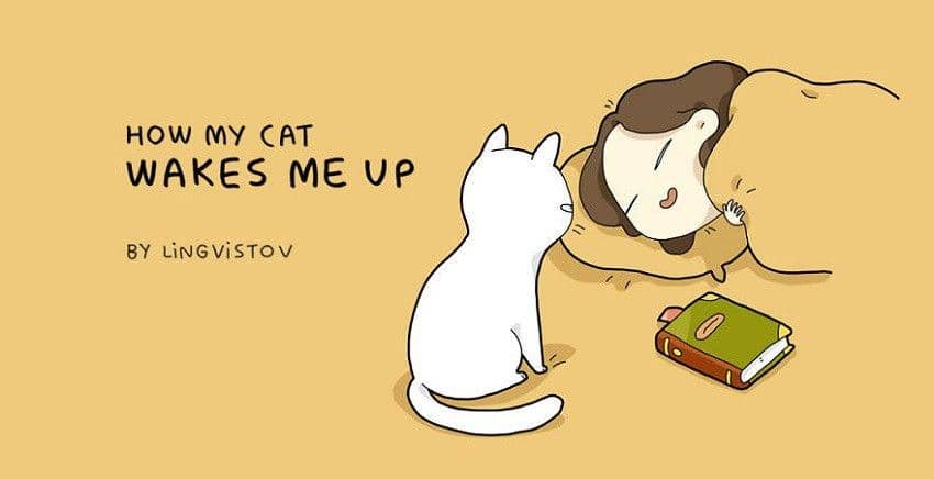 instagram.com/lingvistov