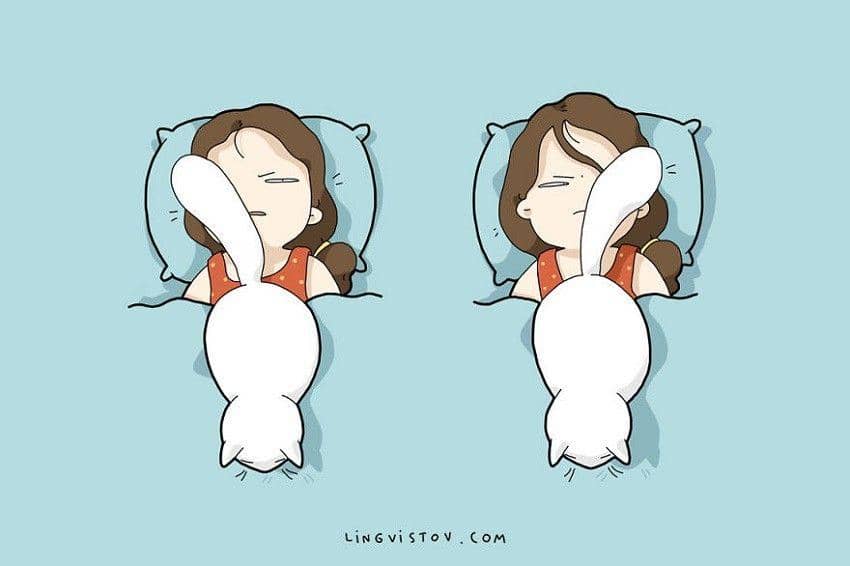 Dijamin Ngakak! Ini 8 Ilustrasi Tingkah Kucing Bangunkan Majikannya