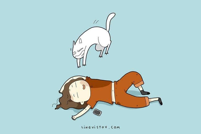 instagram.com/lingvistov