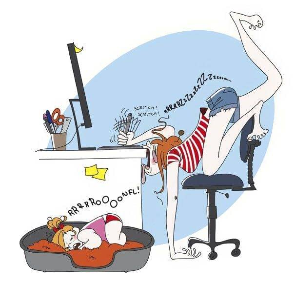 facebook.com/Nathalie-Jomard