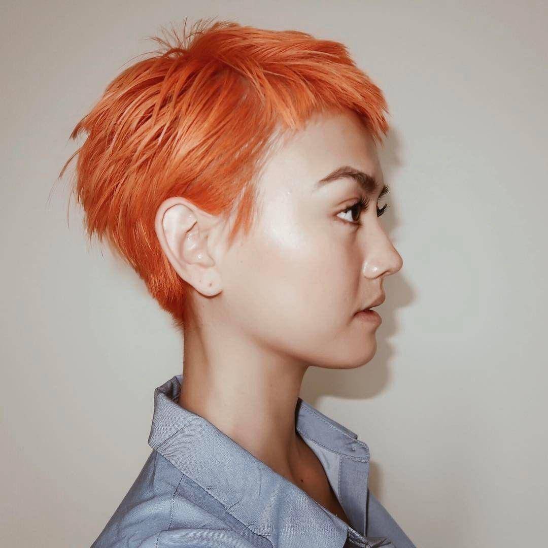 www.instagram.com/agnezmo