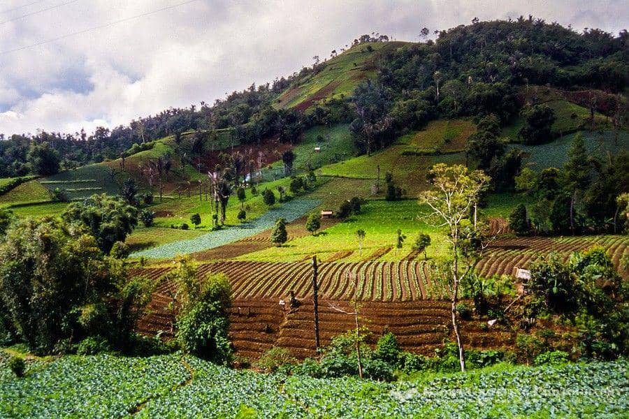 indonesia-tourism.com