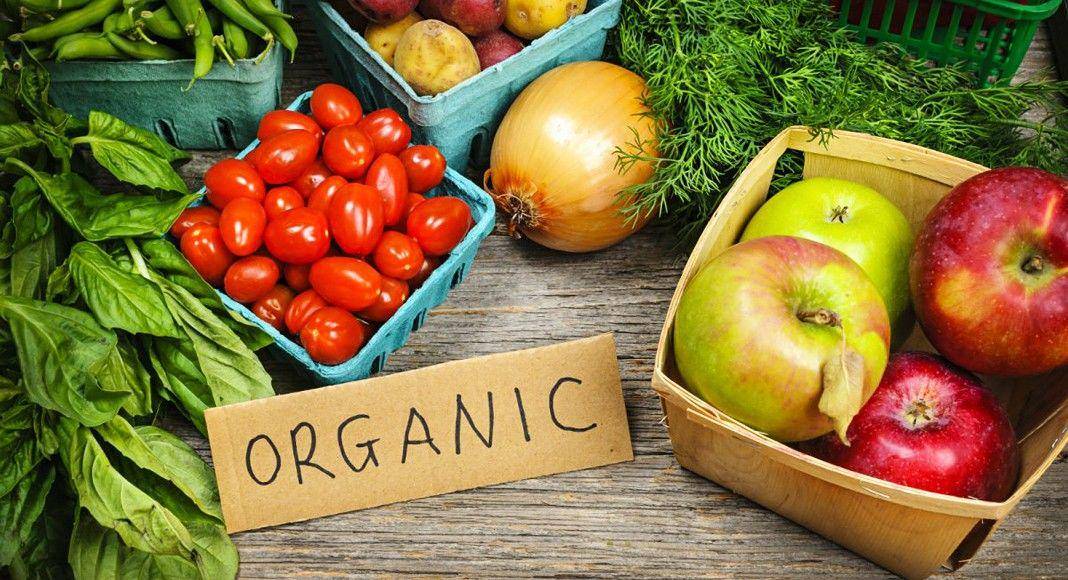 organicshop.in