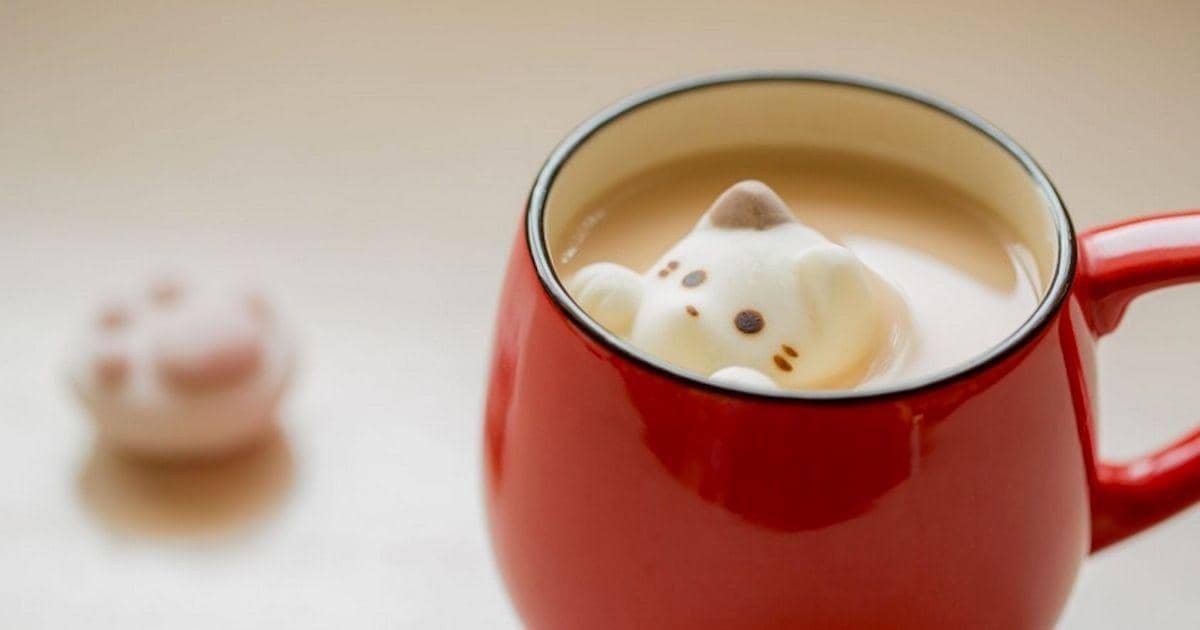 5 Camilan Manis Asal Jepang ini Berbentuk Kucing nan Imut