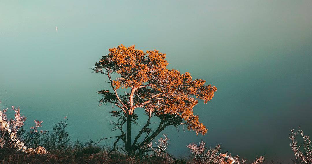 unsplash.com/Cristina Gottardi