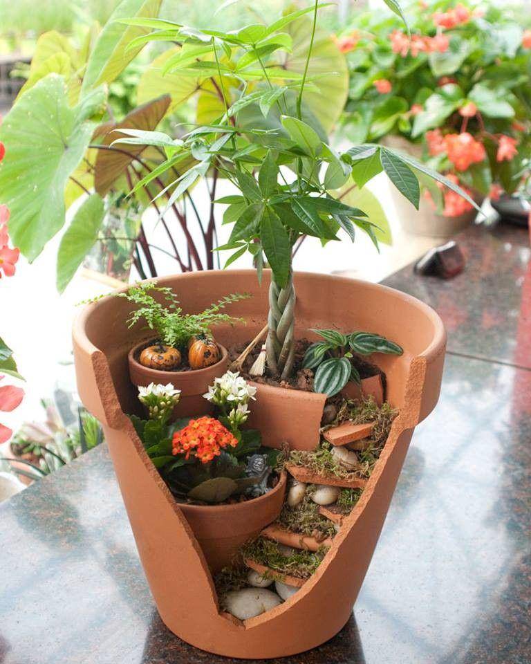 blog.nurserylive.com