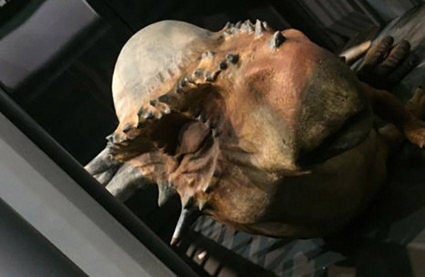 jurrasicpark.wikia.com
