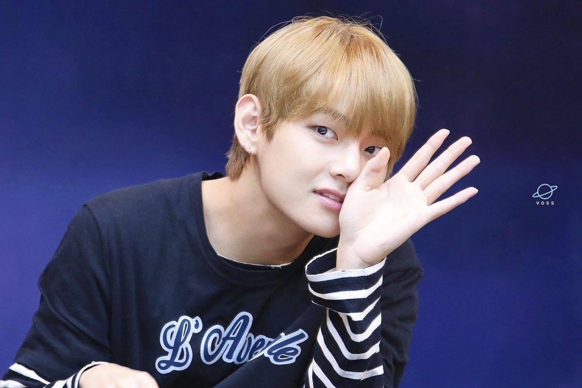 Twitter.com/vantastic_v