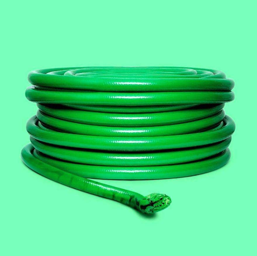 instagram.com/randylewiscreative