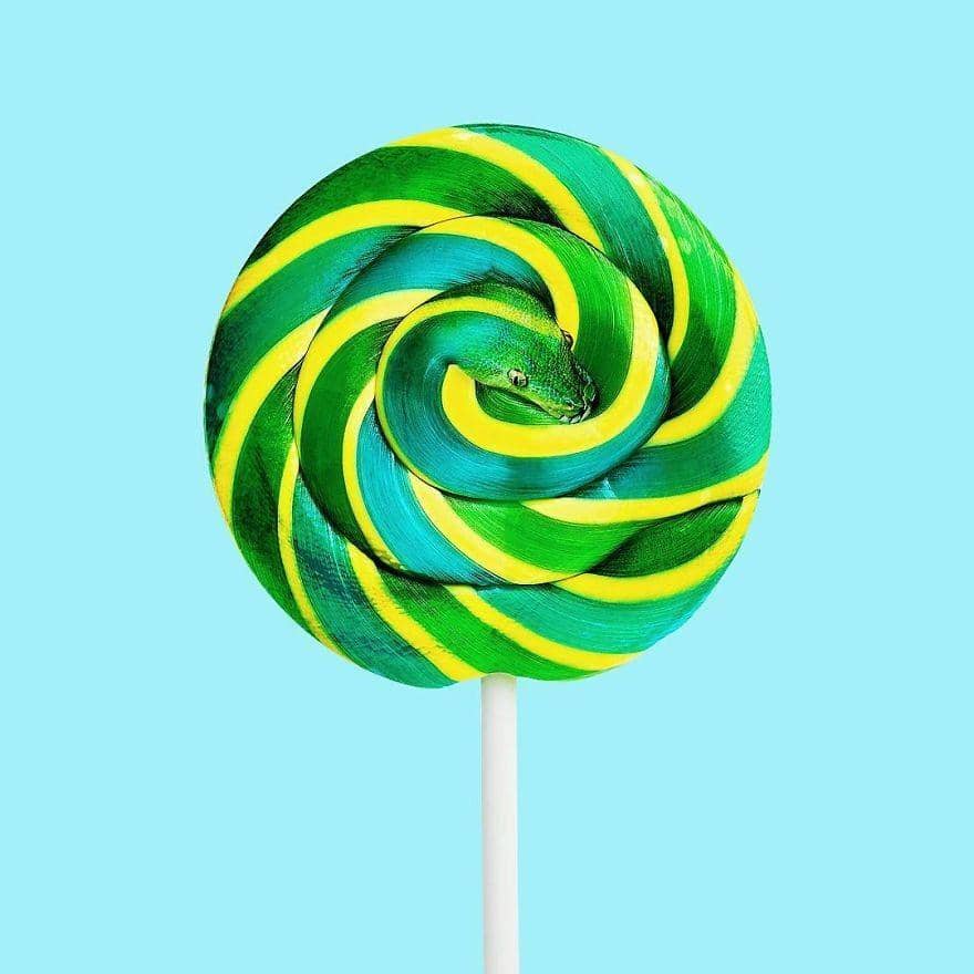 instagram.com/randylewiscreative