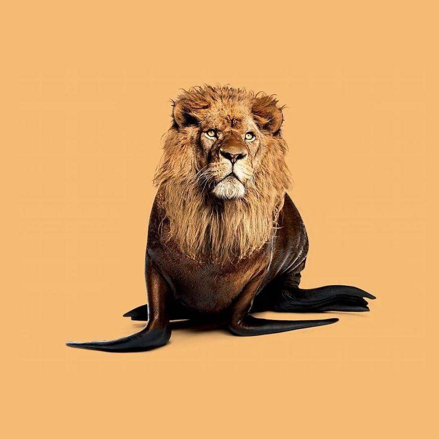 instagram.com/randylewiscreative