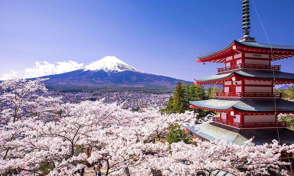 Japan Monthly Web Magazine