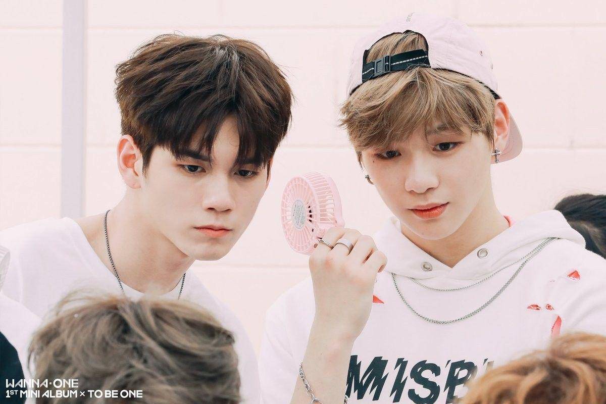 twitter/wannaone_twt