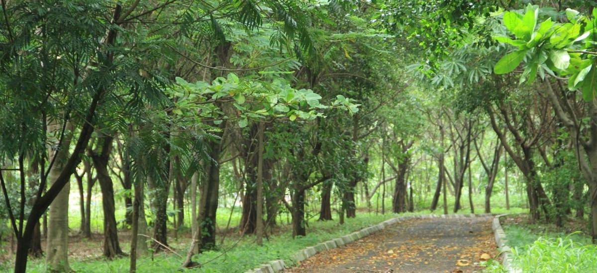 wisatajakarta.net