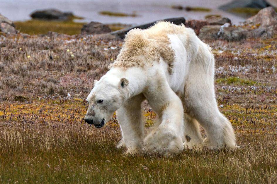 https://www.nationalgeographic.com