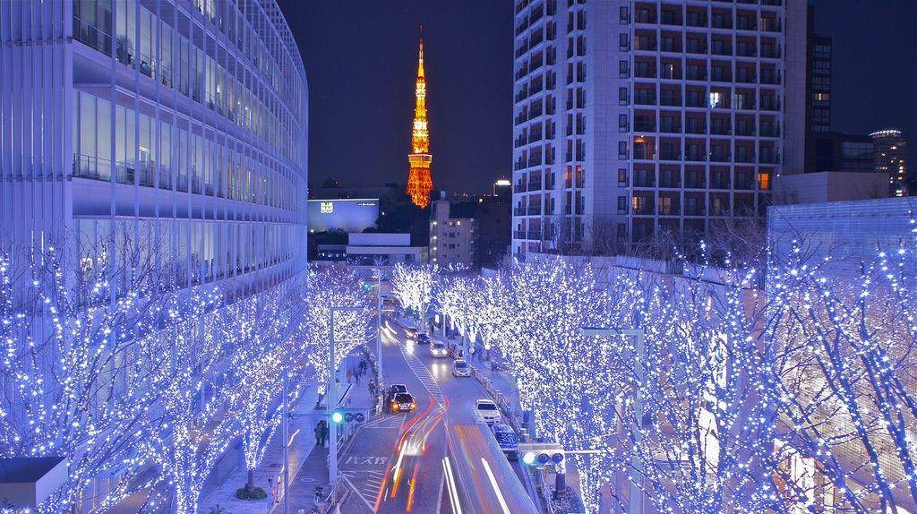 thedailyjapan.com