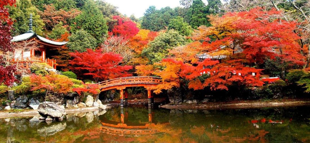 20 Tempat Honeymoon Terbaik di Dunia, Ajak Pasanganmu ke Sini Yuk!