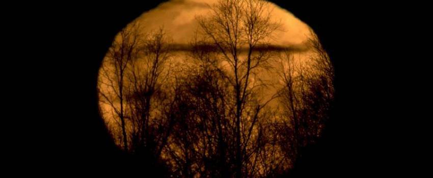 Earthsky.org