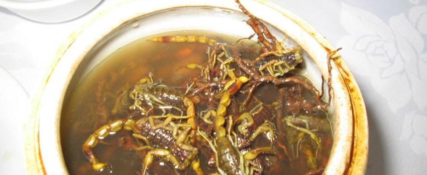 9 Sup yang Dianggap Paling Menjijikkan di Dunia, Berani Coba?