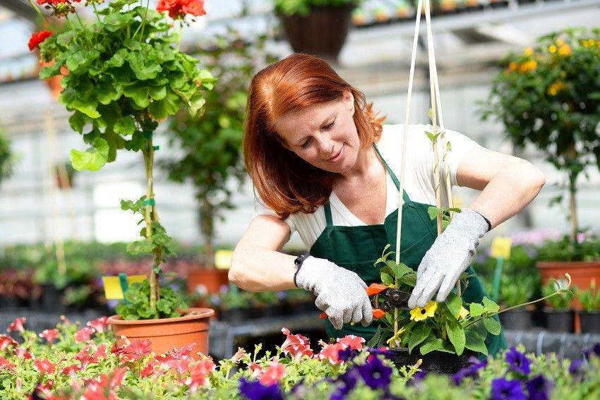 capitalgardens.co.uk