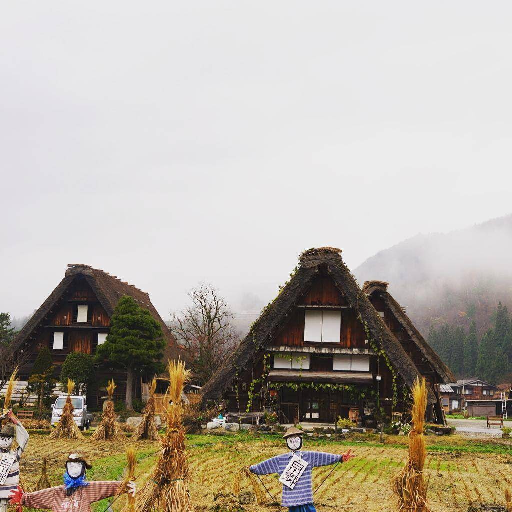 instagram.com/shirakawa_go