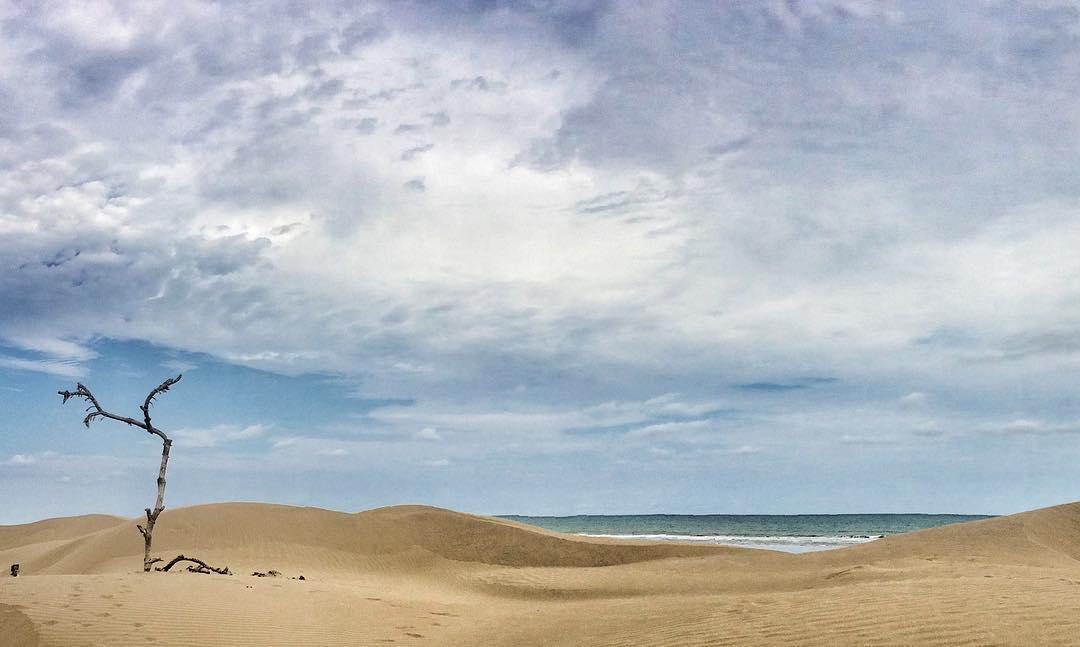 Bak Gurun, Ini 7 Potret Indahnya Pantai Oetune di Pulau Timor