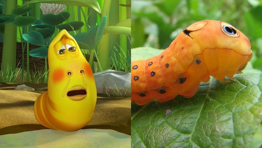 Di Balik Lucunya Karakter Kartun Larva, Ini Bentuk Aslinya!