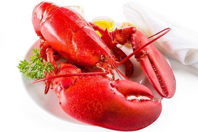 mainelobsternow.com