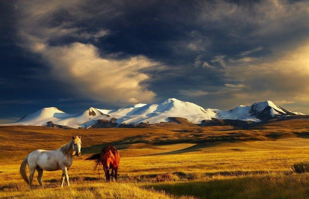 10 Lokasi Paling Menarik yang Wajib Dikunjungi Saat ke Mongolia