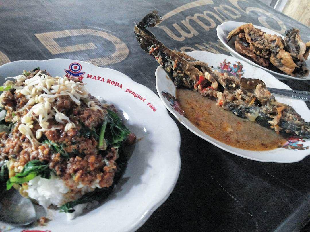 Instagram.com/pesonajogja
