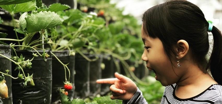 5 Tempat Kuliner di Bandung yang Cocok Dikunjungi Bersama Anak