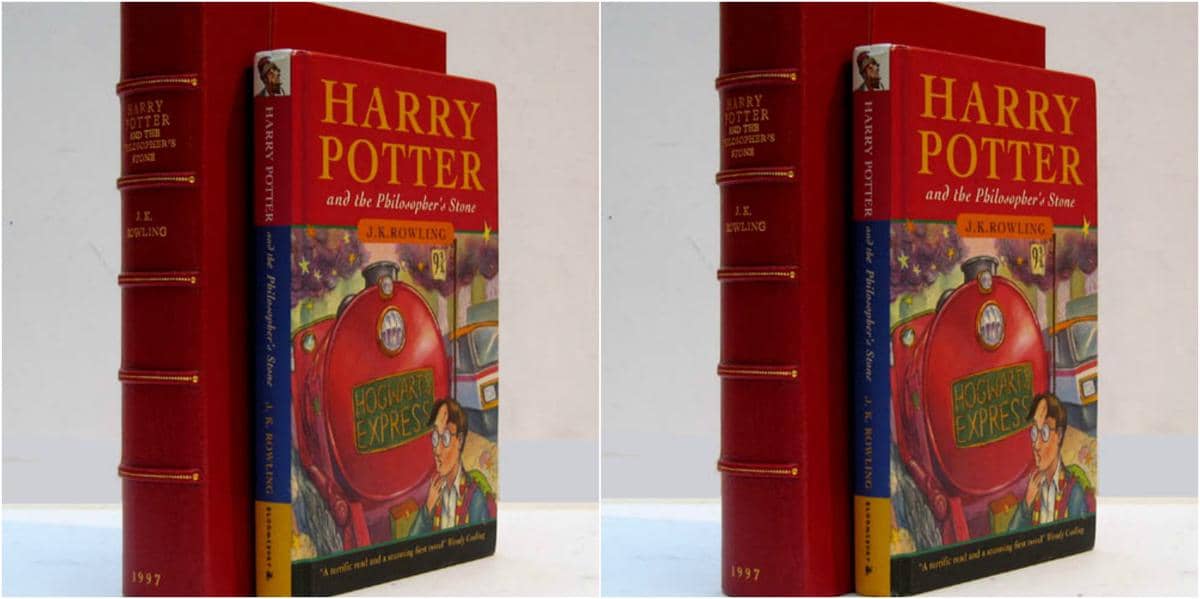 Novel Harry Poter Senilai Rp 755 Juta Dicuri dari Toko Buku