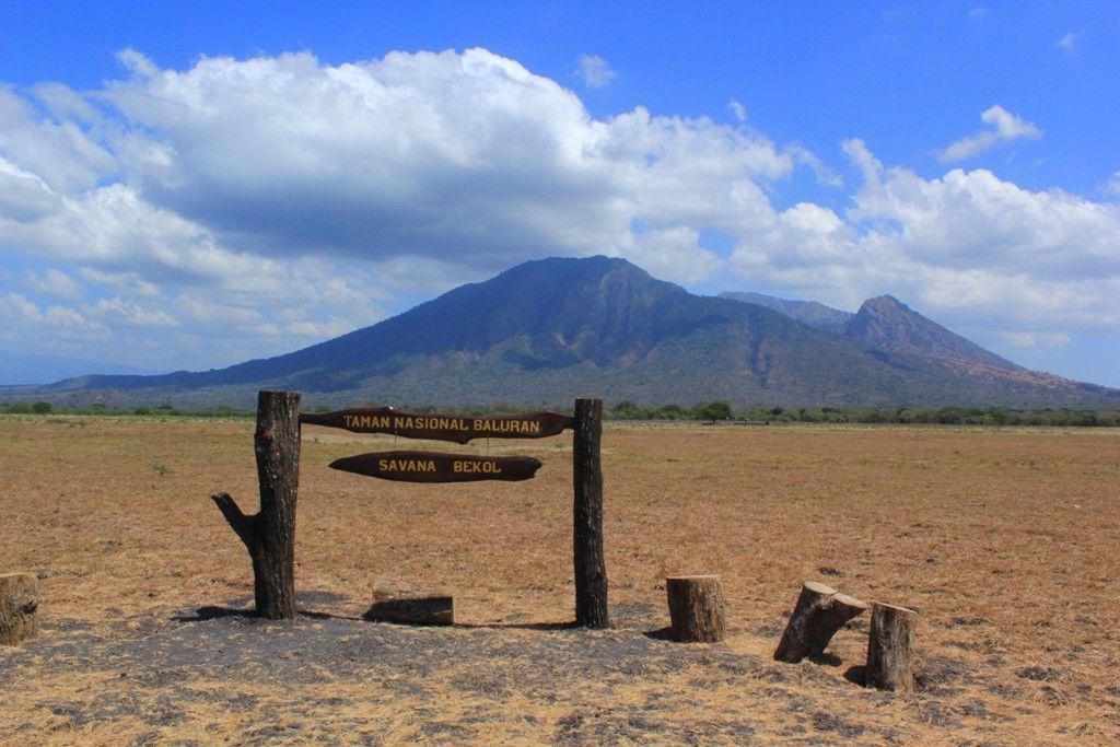 10 Hal Ini Bisa Kamu Lakukan Saat Berkunjung Ke Taman Nasional Baluran